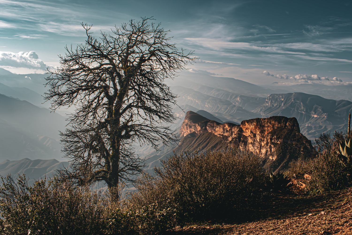 Fotografías de Paisajes